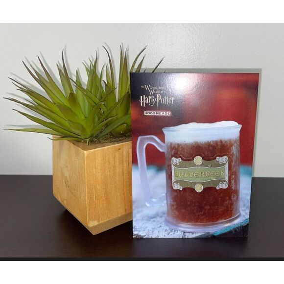 Universal‎ Orlando Wizarding World of HARRY POTTER Hogsmeade Stamped Postcard. - Picture 1 of 2